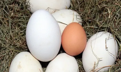 Vergleiche VERGLEICHEN SIE IHRE KOSTEN